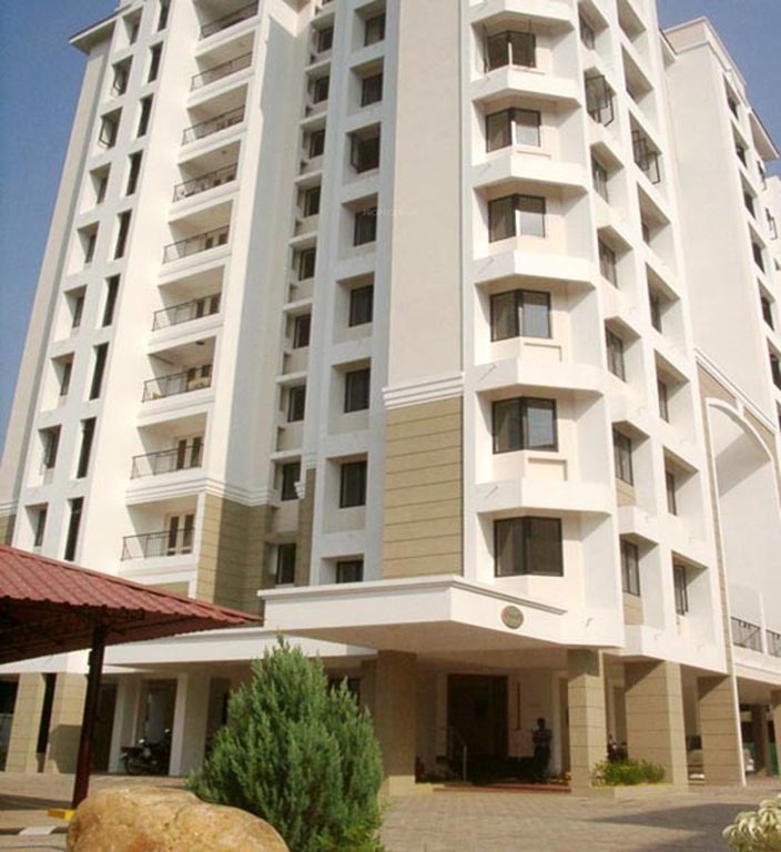 Images for Elevation of Skyline Tulip