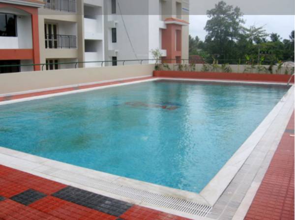 Swimming Pool amity-park Swimming Pool