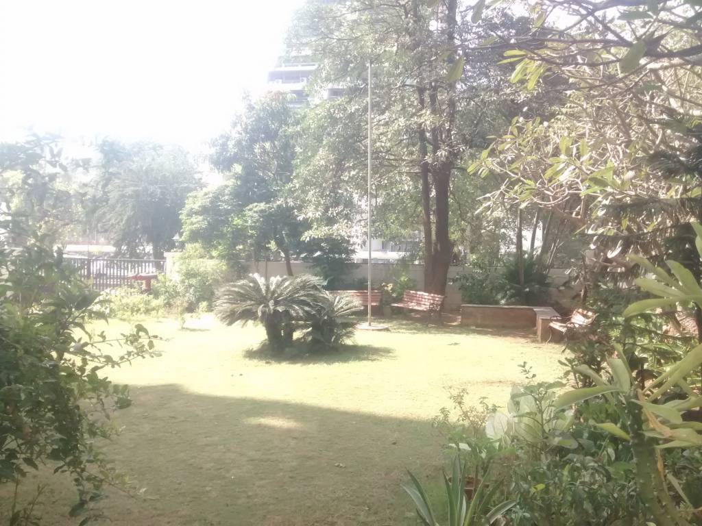 Progressive Celebrity