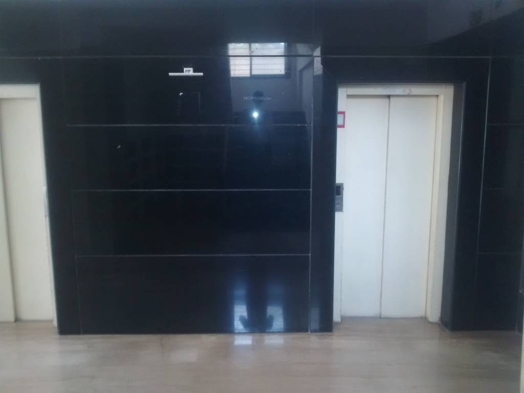 Progressive Celebrity