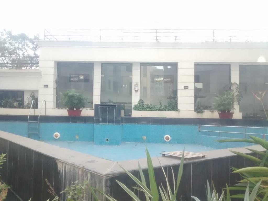 Progressive Celebrity