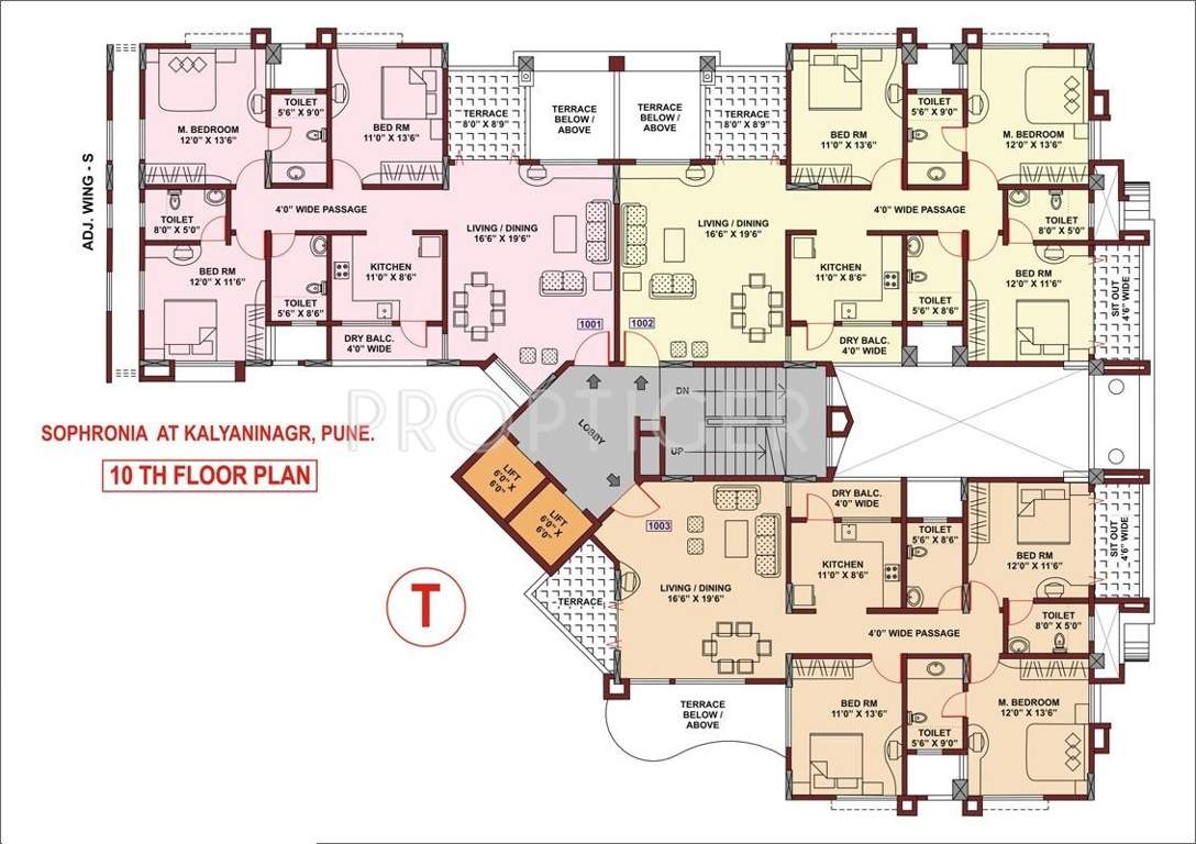  sophronia Images for Cluster Plan of KUL Sophronia