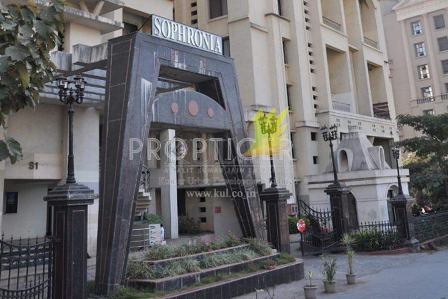  sophronia Images for Elevation of KUL Sophronia