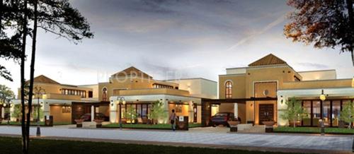  gold-coast Images for Elevation of Confident Gold Coast