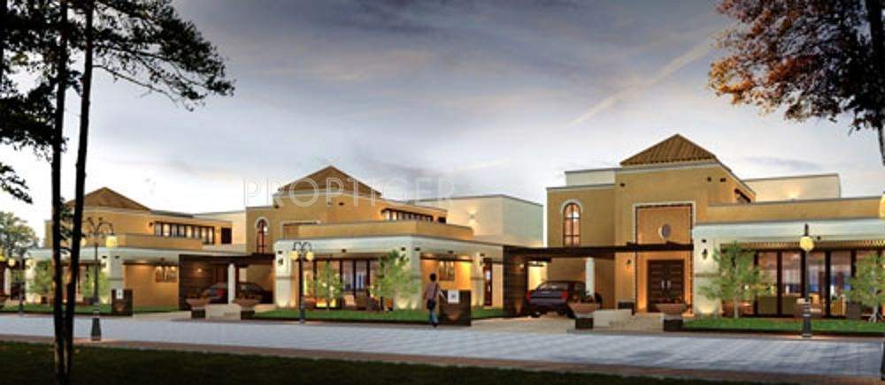  gold coast Images for Elevation of Confident Gold Coast