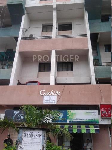  orchids Images for Elevation of Paranjape Orchids