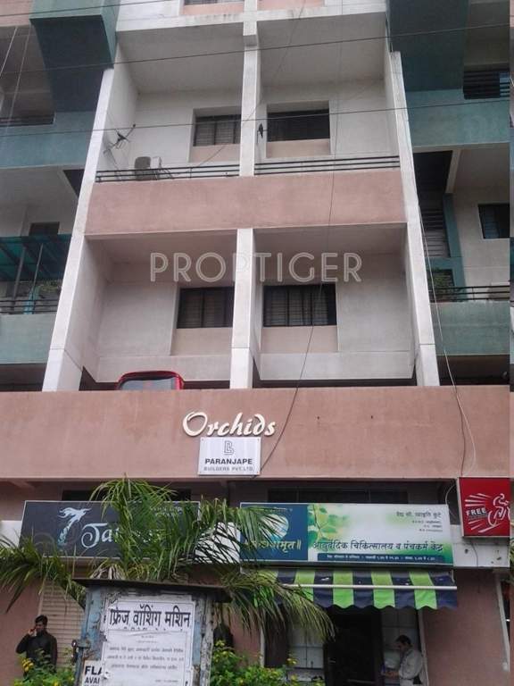  orchids Images for Elevation of Paranjape Orchids