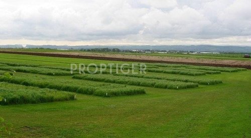 Images for Elevation of U and Me Realtors MS City