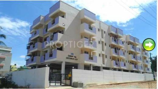 Images for Elevation of Oceanus Group Lilly Images for Elevation of Oceanus Group Lilly