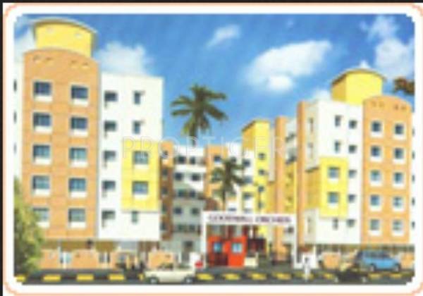 Images for Elevation of Choice Goodwill Orchids Images for Elevation of Choice Goodwill Orchids