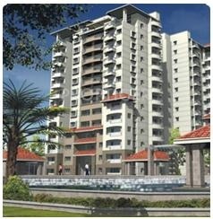 Images for Elevation of IDEB Inc IDEB Springdale Images for Elevation of IDEB Inc IDEB Springdale