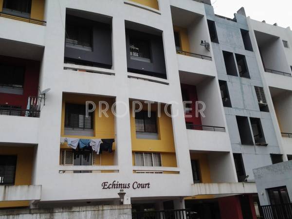 Unicons Nirmitee Group Echinus Court