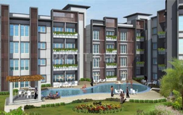 Elegant Properties Elegant Aster