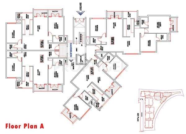 Images for Master Plan of Elegant Aster
