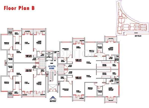 Images for Master Plan of Elegant Aster