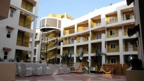  greinberg Anriya Group Anriya Greinberg