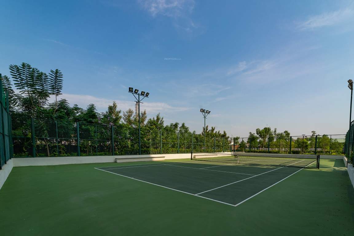  77 place Lawn Tennis Court