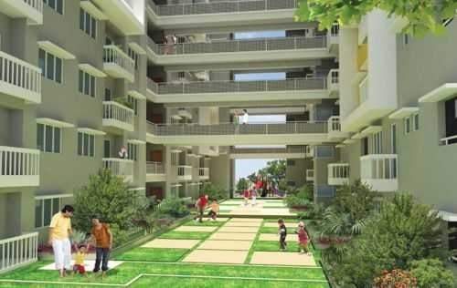  platina Landscape Garden and Tree Planting