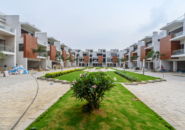 the grange Elevation