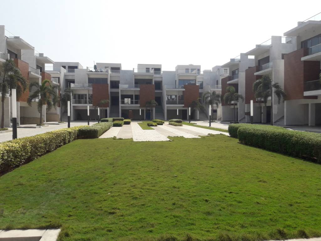 the grange Elevation