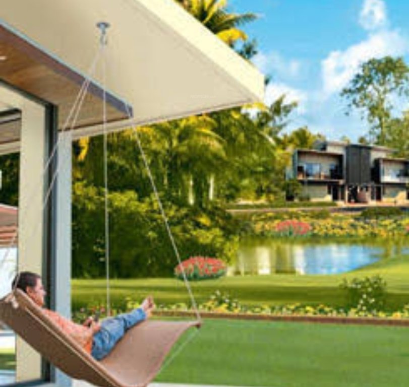  city plots Elevation