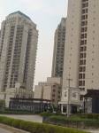 Images for Elevation of Chintels Serenity  serenity-tower-no-3-4-5-ews-block Images for Elevation of Chintels Serenity