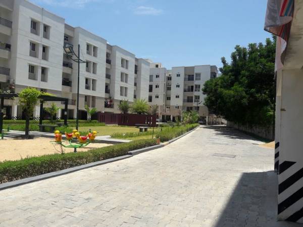 Others sukriti Others