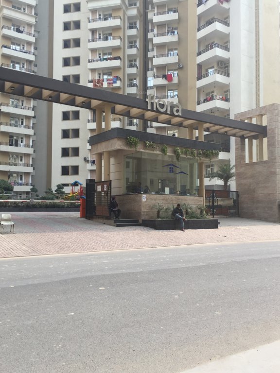 flora Images for Project