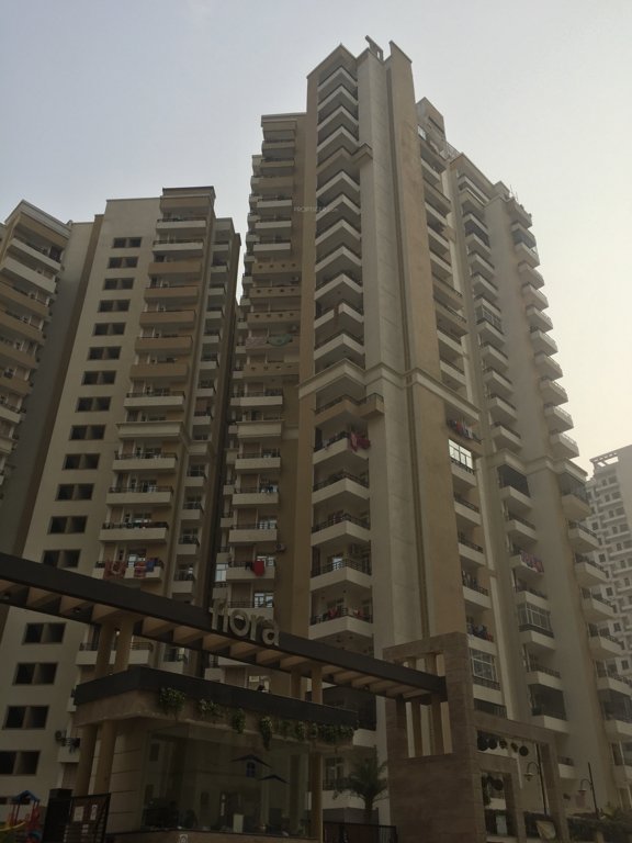 flora Images for Project