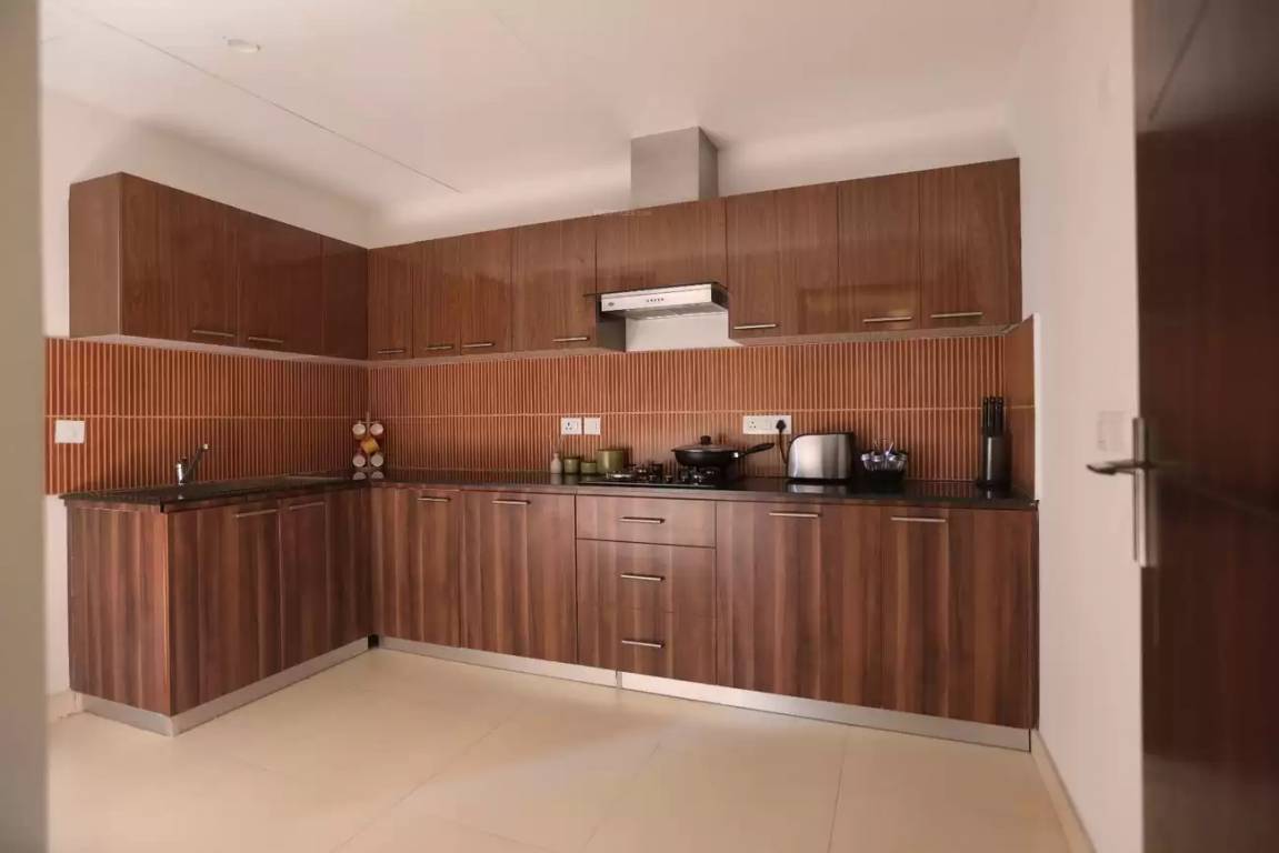 Images for mainOther