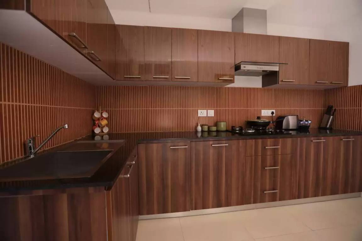 Images for mainOther