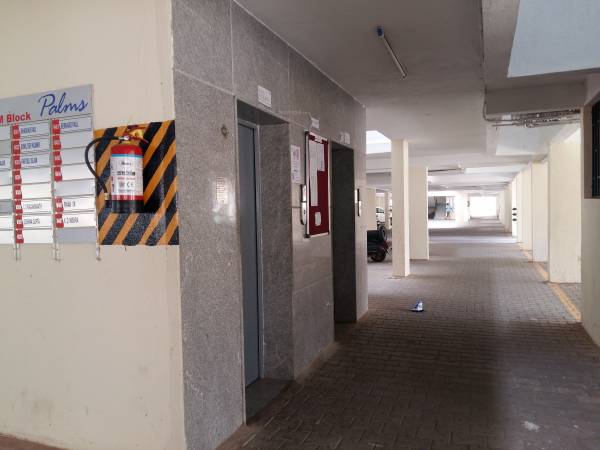 Lift Available palms Lift Available