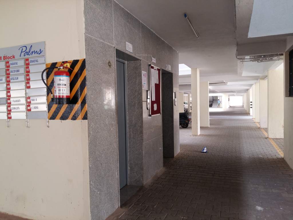  palms Lift Available