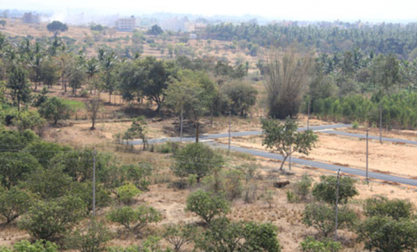 Images for Main Other of Bhoomika Prithvi