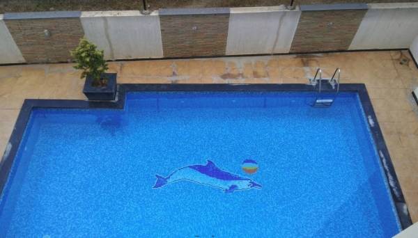  dsmax-sangam Swimming Pool