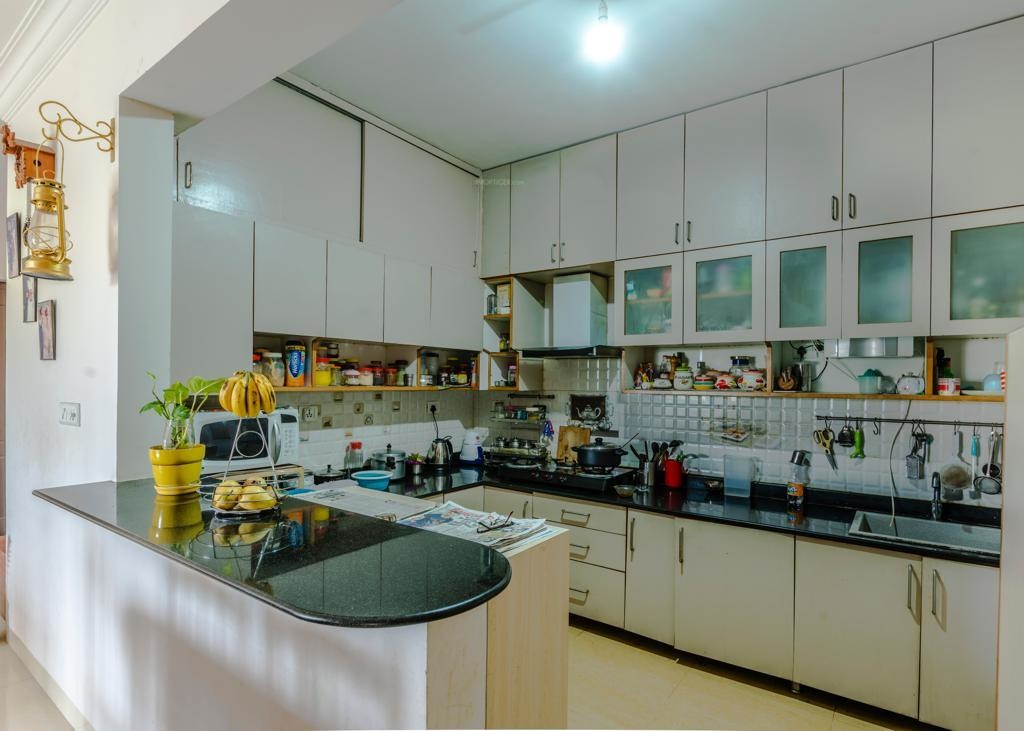 Images for mainOther