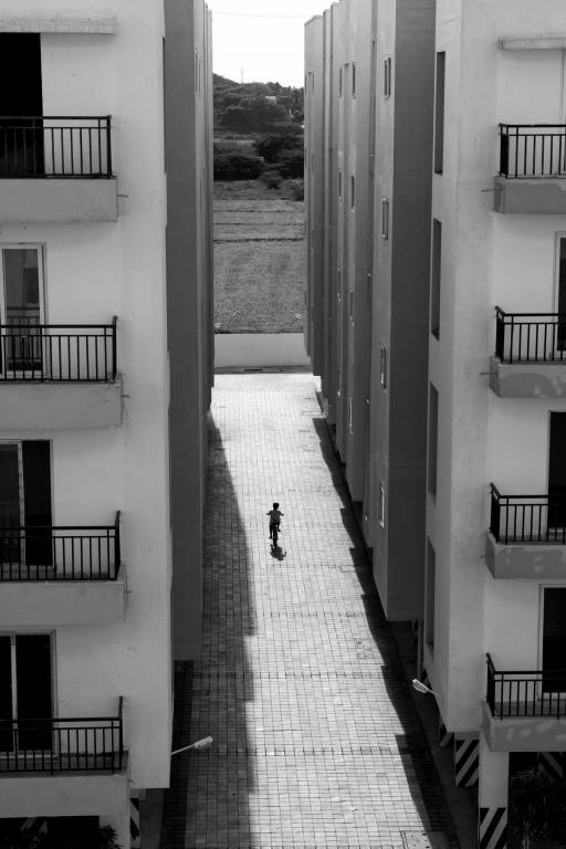 Images for Elevation of Jain Alpine Meadows