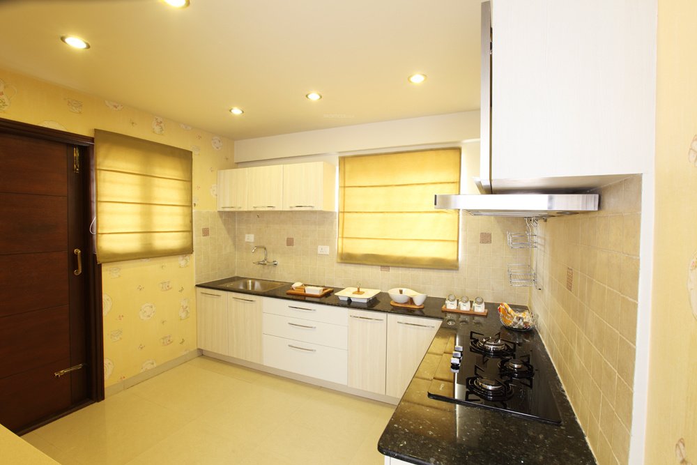  seldon Images for Main Other of Mana Projects Seldon