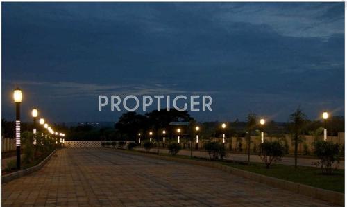  eden Images for Main Other of Century Eden