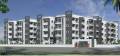 Radiant Properties Royal Woods