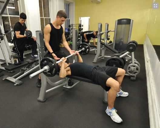 royal woods Gymnasium