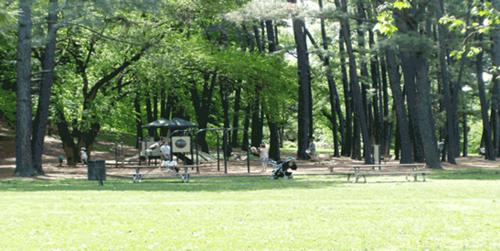 Images for Amenities of Dwarkadhish The Cubix the-cubix Images for Amenities of Dwarkadhish The Cubix