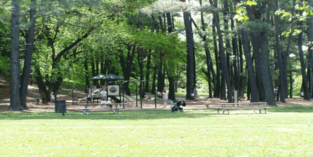  the cubix Images for Amenities of Dwarkadhish The Cubix