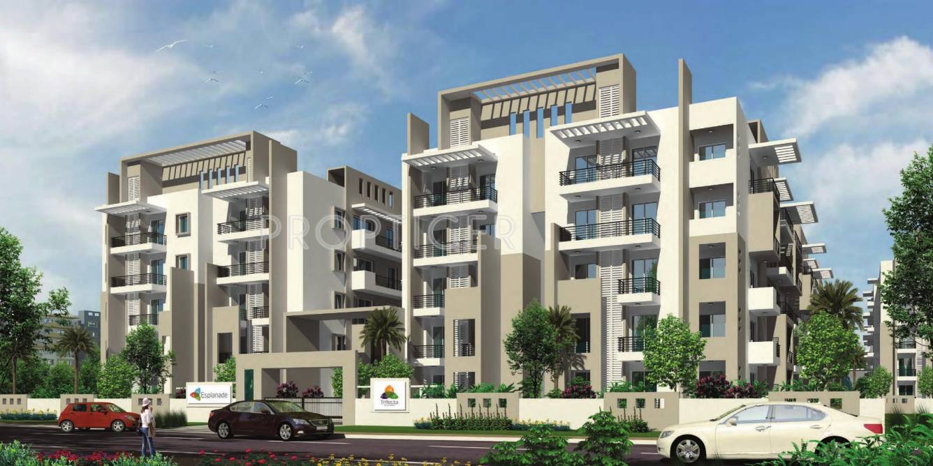  esplanade Images for Elevation of Trifecta Esplanade