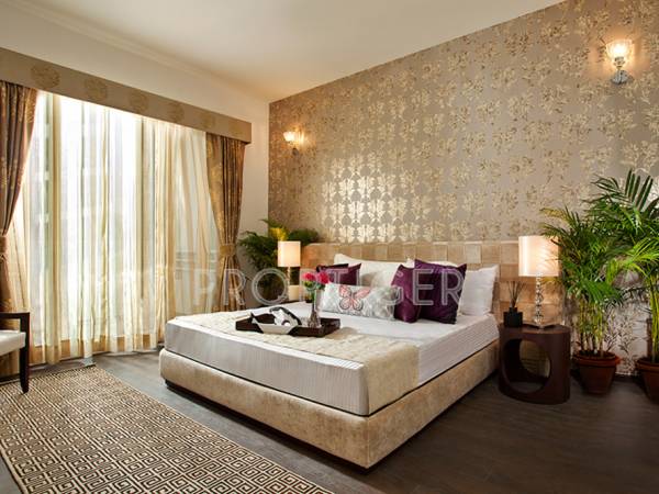 Images for Main Other of Wave Trucia Images for Main Other of Wave Trucia