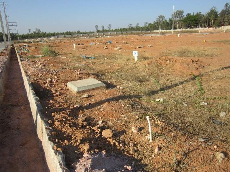 Images for Main Other of Tekton Delonix City