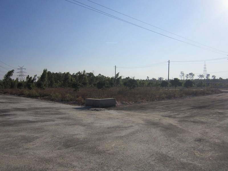 Images for Main Other of Tekton Delonix City