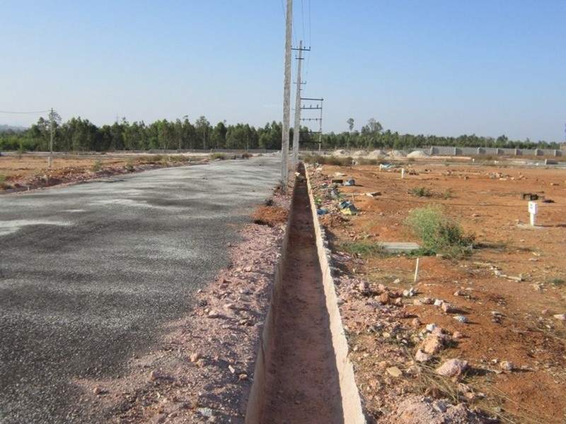 Images for Main Other of Tekton Delonix City