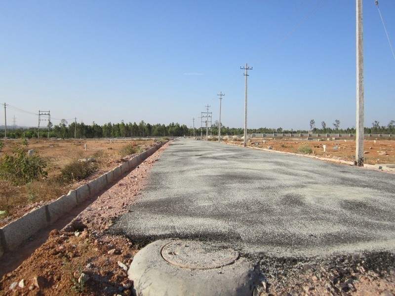 Images for Main Other of Tekton Delonix City