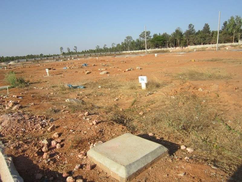 Images for Main Other of Tekton Delonix City